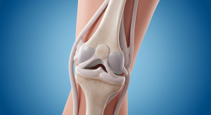 knee health and daily habits maintained by proper posture and weight control